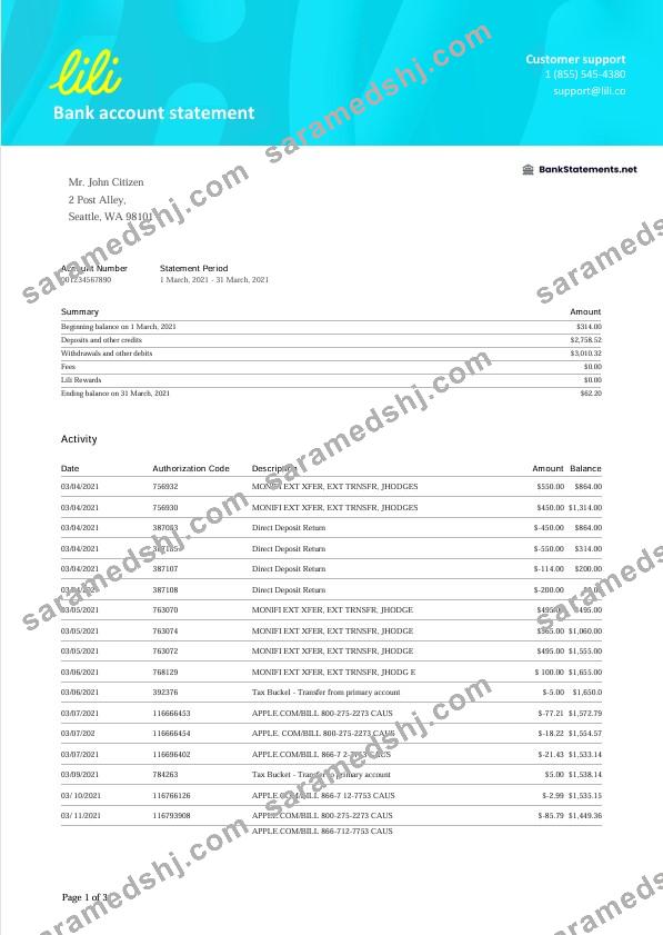 USA Lili bank statement Word